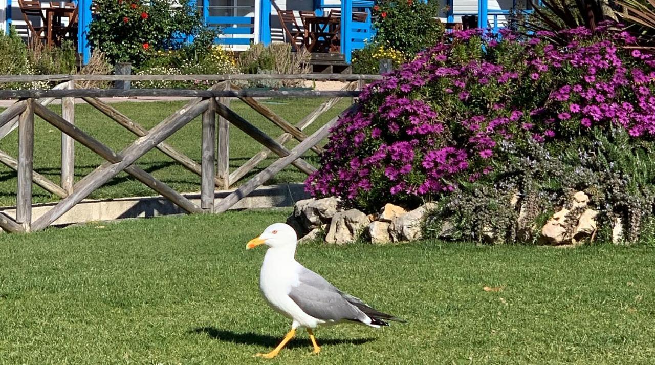 Costa Do Vizir Beach Village ポルト・コーヴォ エクステリア 写真